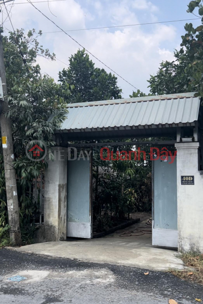 đ 4.2 Billion Owner Needs to Sell Land Lot in Nice Location at No. 40, Trinh Thi Ghat Street, Tan An Hoi Commune, Cu Chi