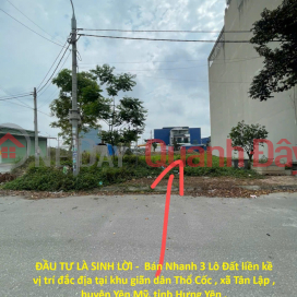 ĐẦU TƯ LÀ SINH LỜI - Bán Nhanh 3 Lô Đất liền kề vị trí đắc địa tại huyện Yên Mỹ tỉnh Hưng Yên _0