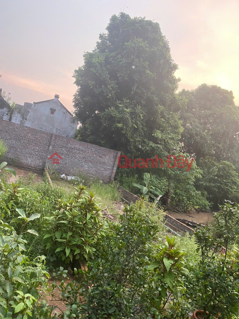 BÁN ĐẤT NGAY TRUNG TÂM KHÁNH HÀ -THƯỜNG TÍN- 300M²-GIÁ CHỈ 38TR/M2 _0