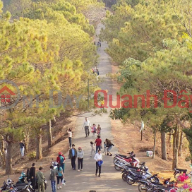 URGENT CLASSIFICATION OF LAND LOT AT BIEN HO VILLAGE SUPER CHEAP PRICE FOR FUTURE EVACUATION PLACE _0