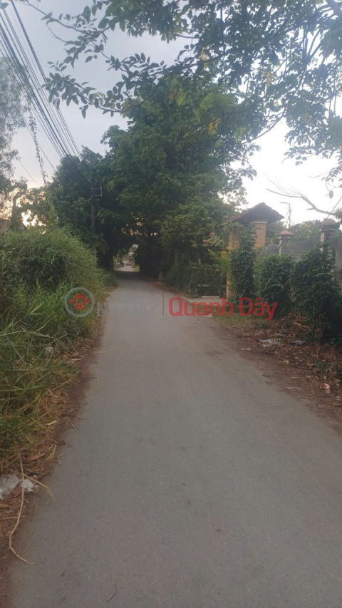 HOT HOT – OWNER NEEDS TO SELL A PLOT OF LAND - FRONTAGE ON ROAD 432, BINH MY COMMUNE, CU CHI DISTRICT, HO CHI MINH CITY _0