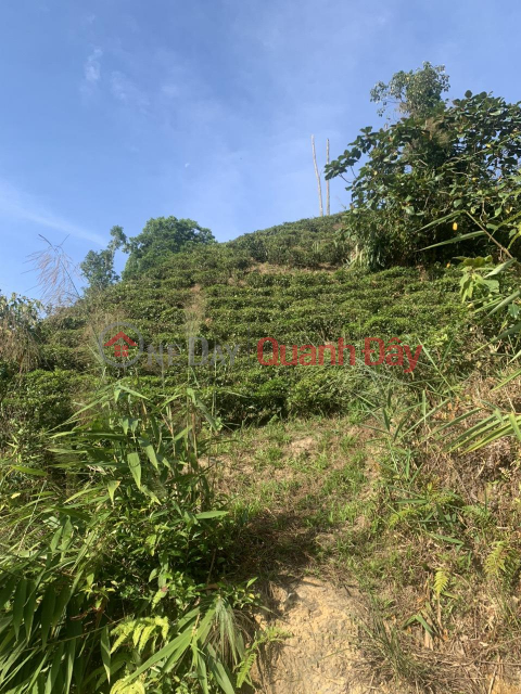 BEAUTIFUL LAND - GOOD PRICE - OWNER FOR SALE Land Beautiful Location Village 10 Loc Thanh Commune, Bao Lam, Lam Dong _0