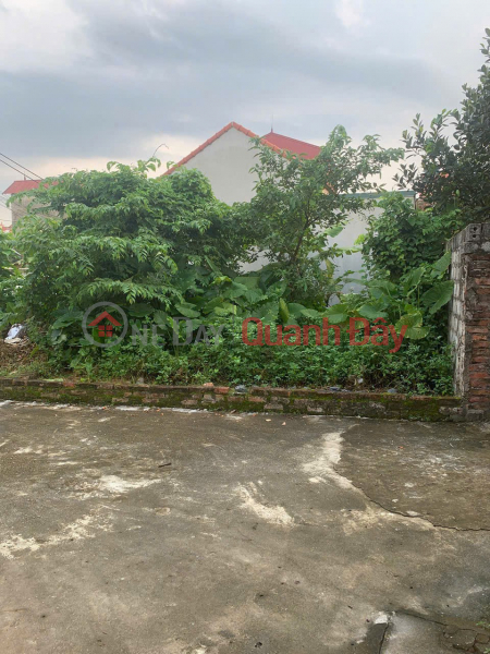 ĐẤT ĐẸP- GIÁ TỐT BÁN NHANH 2 LÔ ĐẤT ĐẦU TƯ LÀ SINH LỜI TẠI tỉnh Hưng Yên, Việt Nam, Bán, đ 1,2 tỷ