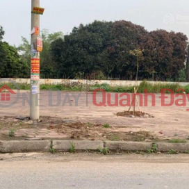 The owner needs to sell quickly Business Land Lot Provincial Road 381 - Giai Pham - Yen My - Hung Yen _0