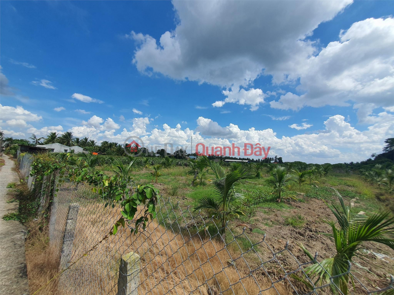 OWNER Needs To Sell Land Plot Quickly, Beautiful Location In Cho Gao, Tien Giang - Extremely Cheap Price | Vietnam | Sales, ₫ 650 Million