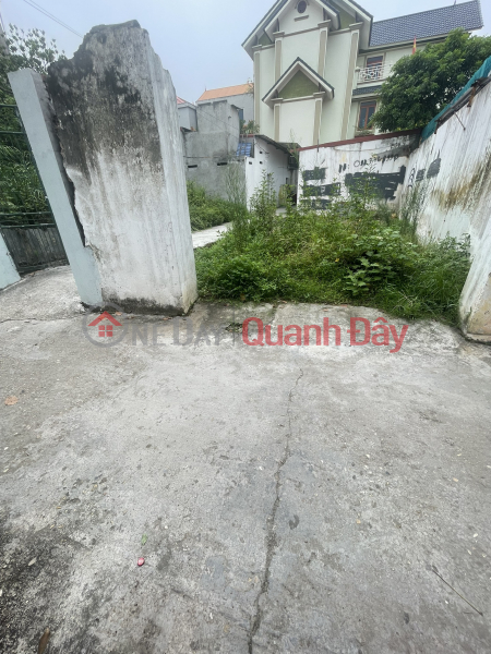 Property Search Vietnam | OneDay | Residential | Sales Listings | Land for sale in Bac Hong, Dong Anh, block with two frontages, motorable road