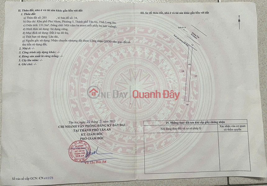 PRIME LOCATION - INVESTMENT OPPORTUNITY - 2 ADJACENT PLOTS OF LAND FOR SALE in Ward 5, Tan An City, Long An Province., Vietnam Sales | đ 4.5 Billion