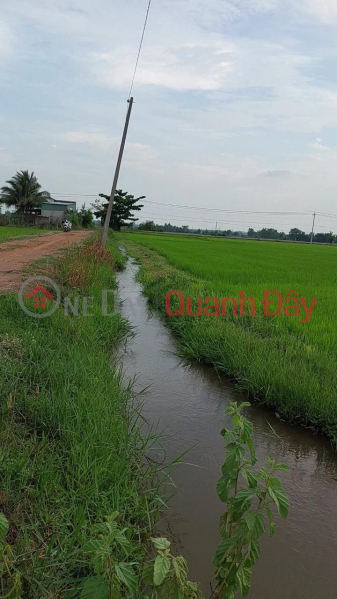 The Owner For Sale 1 acre of Farmland In Ham Phu, Thuan Minh, Ham Thuan Bac, Binh Thuan Sales Listings