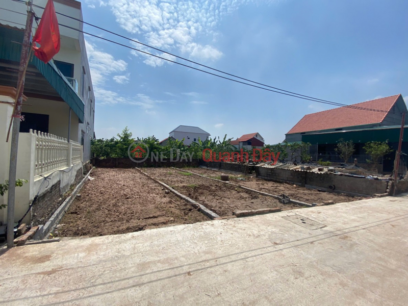 Property Search Vietnam | OneDay | Residential | Sales Listings | BEAUTIFUL LAND FOR SALE AT GOOD PRICE - GOOD LOCATION IN DONG TAO, KHOAI CHAU, HUNG YEN