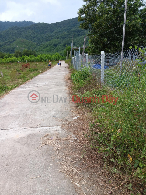 PRIMARY LAND - Land Lot for Sale in Khanh Hiep Commune - Khanh Vinh, Khanh Hoa _0