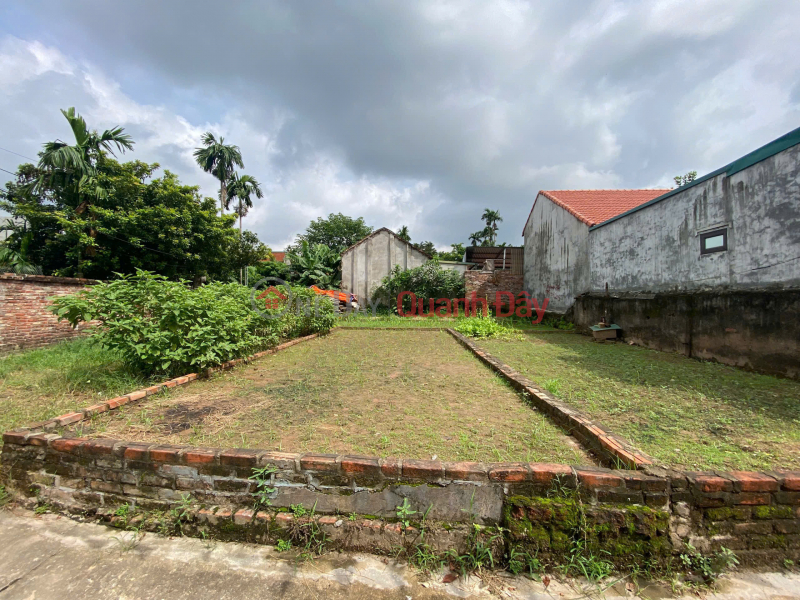 HÀNG FO 40M TẠI THỤY HƯƠNG-CHƯƠNG MỸ-HÀ NỘI Niêm yết bán