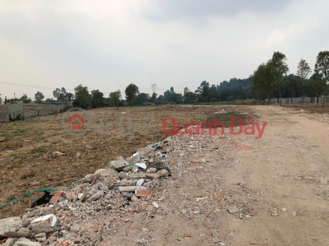 Land for rent for business purposes - Binh Tan _0