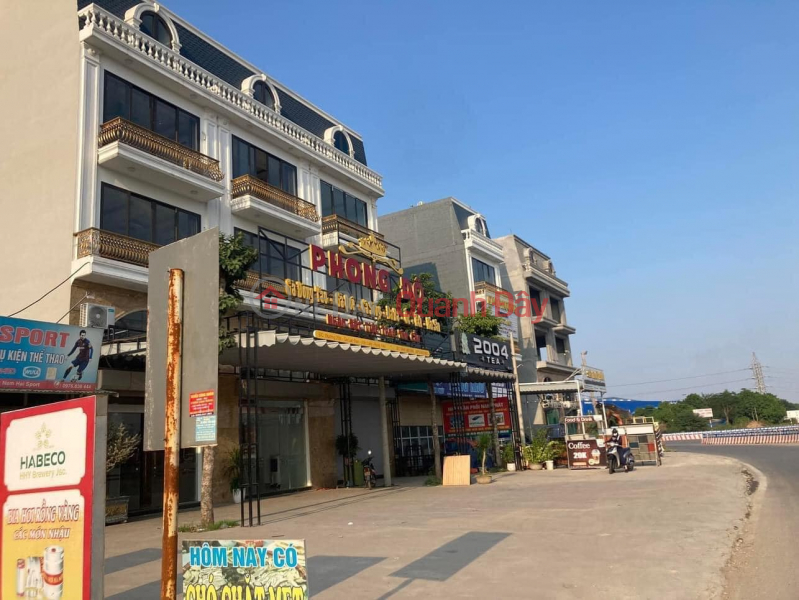 The owner is planning to sell a corner lot with 3 frontages - Hung Vuong Lac Dao project, Van Lam, Hung Yen Sales Listings