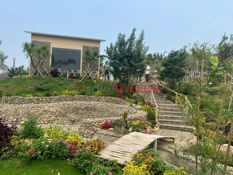 đ 5.3 Billion SUPER BEAUTIFUL LAND - INVESTMENT PRICE - Need to sell a plot of land in Phuoc Trung commune, Ninh Thuan