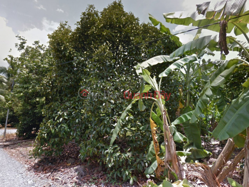 Vườn măng cục SHR HXH 738m2, Vuông – An Thạnh 39 Bình Dương SS, Việt Nam | Bán đ 8,5 tỷ