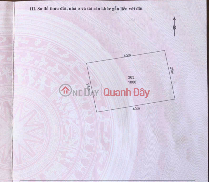 Property Search Vietnam | OneDay | Residential, Sales Listings, PROFITABLE INVESTMENT OPPORTUNITY - A Superb 1,000m² Garden House Plot in Binh Duc Commune, Ben Luc District, Long An Province.