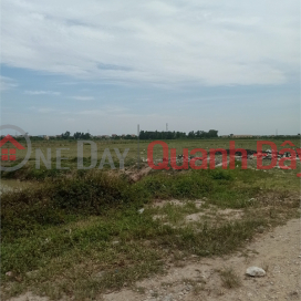 Selling 50ha of land for warehouse and factory for 50 years in Trieu Son District, Thanh Hoa Province _0