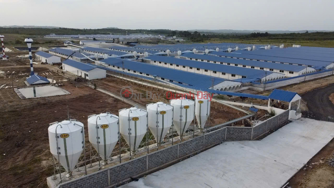 đ 135 tỷ Bán Trang trại heo 26 Ha -Chư Prông, Gia Lai. Quy mô 18.000 heo thịt, Đang cho thuê 1.1 tỷ/tháng