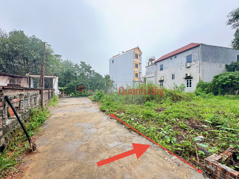 Property Search Vietnam | OneDay | Residential | Sales Listings Land for sale in Phu Huu, Thanh Lam, Me Linh. Asphalt road, car parking. Near Me Linh fruit market.