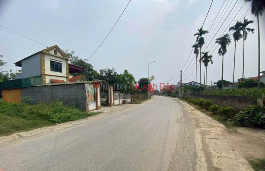OWNER'S LAND - Prime location on the main business axis of Luong Son - Near resorts and homestays Sales Listings