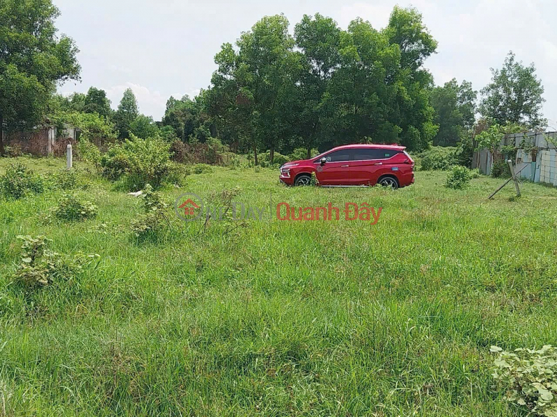 NHANH TAY SỞ HỮU NGAY LÔ ĐẤT CHÍNH CHỦ Vị Trí Tại Xã Nhuận Đức ,Huyện Củ Chi, TP HCM | Việt Nam, Bán đ 1,65 tỷ