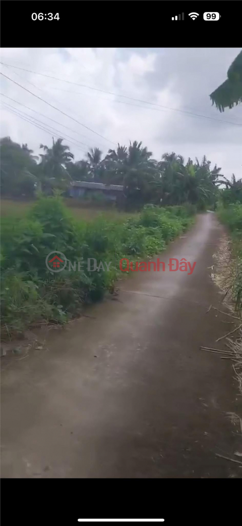 OWNER NEEDS TO SELL LOT OF LAND Prime Location In Hoa Binh District, Bac Lieu _0