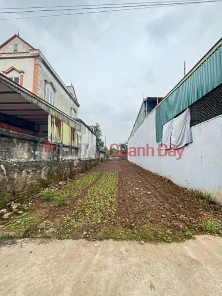 Property Search Vietnam | OneDay | Nhà ở | Niêm yết bán Siêu phẩm đất đẹp Xóm 2, Chương Dương - Giá tốt - Vị trí đẹp, đường rộng, tiềm năng tăng giá cao