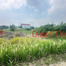Bán đất mặt tiền đường Rừng Sát , đối diện cây xăng Hiệp Quế , Bình Khánh, Cần Giờ _0