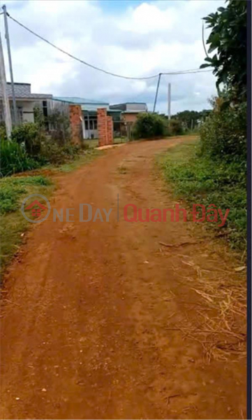 đ 2.6 Billion, Owner Needs to Sell a Beautiful Land Plot in Bon Dak Blao, Kien Duc Town, Dawk R'Lap District, Dak Nong