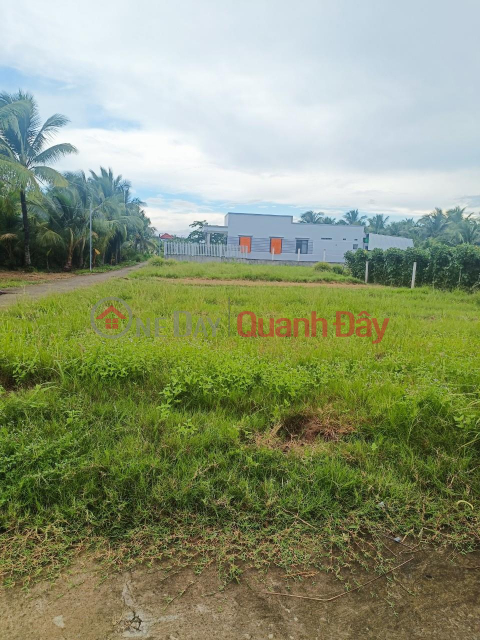 OWNER NEED TO SELL IMMEDIATELY Land And House In Ben Tre Province _0