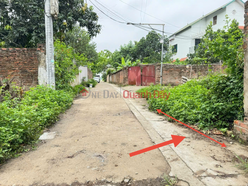 Selling 46m2 of land in Bao Thap village, Kim Hoa, Me Linh. Three steps to Ring Road 4 | Vietnam | Sales, đ 2.15 Billion