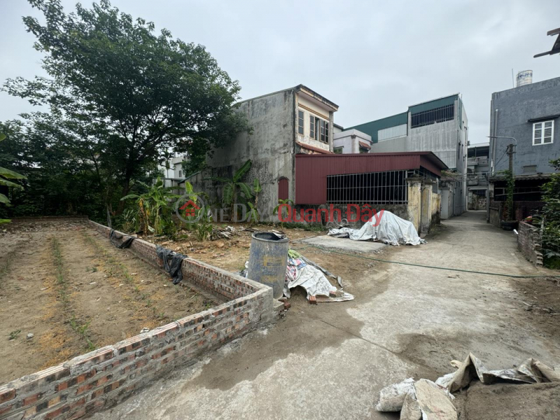 Property Search Vietnam | OneDay | Residential, Sales Listings | Owner For sale 89m2 Kinh No Uy No village, Dong Anh, Hanoi. 3m front road, clear alley