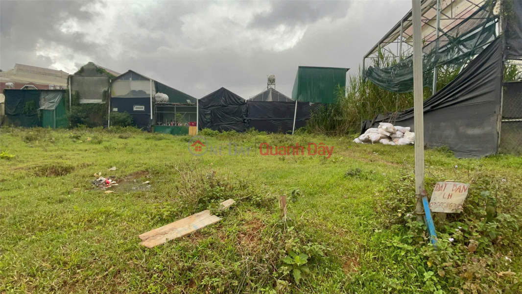 PRIME LAND - INVESTMENT PRICE - OWNER SELLING PLOT OF LAND IN WARD 7, DA LAT, LAM DONG, Vietnam, Sales đ 860 Million