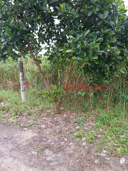 ĐẤT ĐẸP – GIÁ TỐT – CHÍNH CHỦ CẦN BÁN LÔ ĐẤT Tại Phường Long Tuyền, Bình Thuỷ, Cần Thơ | Việt Nam, Bán, đ 500 triệu
