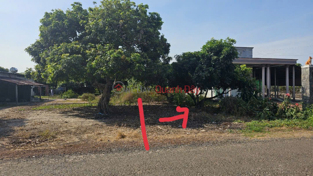 đ 1.5 Billion | Land for Sale on Asphalt Road DT809 in Tan Hung, Tay Ninh - 493.7m2 Residential Land 162m2 - Price Only 1.5 Billion