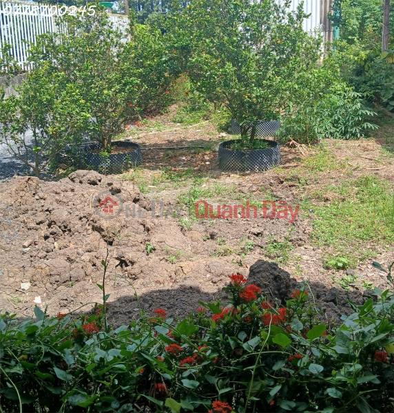 Cho thuê đất, mặt bằng dài hạn tại phường Khánh Hậu, Tây Ninh Niêm yết cho thuê