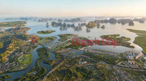 Semi-detached villa for sale at Vinhomes Global Gate Ha Long, with views of world wonders. Area 162m², 9m frontage. _0