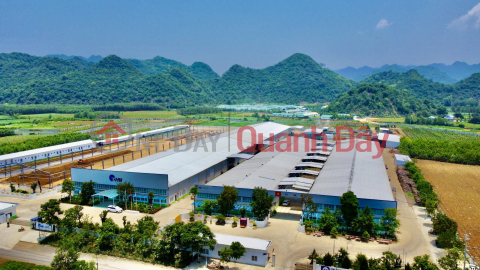 NEED QUICK RELEASE OF 7 LOTS OF 140HA INDUSTRIAL PARK THACH QUANG THANH HOA PRICE ONLY 140 TR\/LOT _0