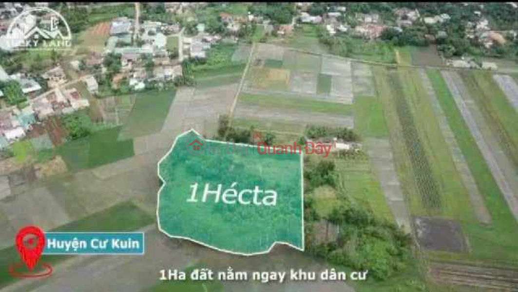 , Làm ơn chọn, Niêm yết bán, đ 3,5 tỷ