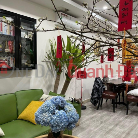 THE OWNER IS SELLING AN APARTMENT AT ECOHOME PHUC LOI, LONG BIEN DISTRICT WITH FULL FURNITURE. _0