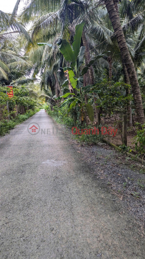 OWNER Needs to Quickly Sell Garden Land in Hoa Dinh Commune, Cho Gao, Tien Giang _0