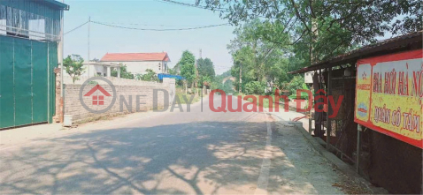 PRIME LAND - STREET FRONTAGE - Owner urgently selling a promising plot of land in My Duc, Hanoi. _0