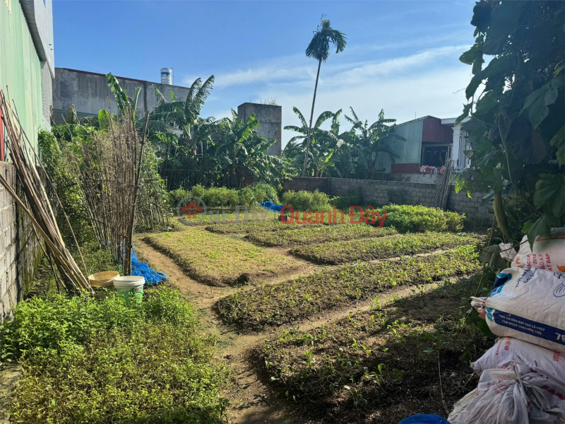2.5x billion – 191m2 Kim Dai Kien Thuy Zalo 0567222555, Vietnam Sales | đ 2.55 Billion