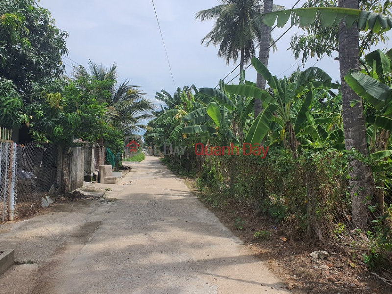 Property Search Vietnam | OneDay | Nhà ở | Niêm yết bán Bán Đất Tân Xương, Suối Cát, Cam Lâm, Khánh Hòa 860 m2 có 200m2 THỔ CƯ