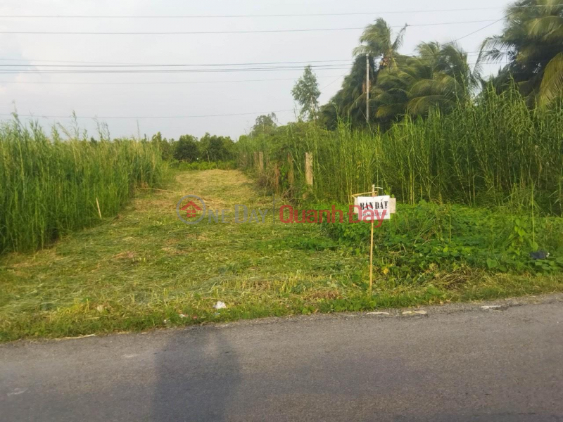 GENERAL FOR SALE Plot Of Land With Beautiful Front In Phu Duc Commune, Long Ho District, Vinh Long Sales Listings
