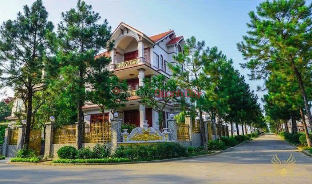 400m2 detached villa at The Phoenix Garden, Dan Phuong - Capitalizing on the West Thang Long Boulevard and Ring Road 4. Sales Listings
