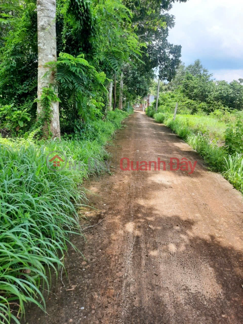 OWNER SELLS BEAUTIFUL LAND PLOT right in the commercial center of NGAI GIAO - CHAU DUC - BA RIA VUNG TAU _0