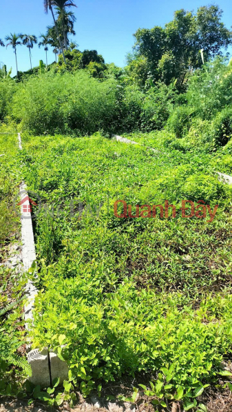 Property Search Vietnam | OneDay | Nhà ở | Niêm yết bán | LÔ ĐẤT GIÁ TỐT GẦN KCN ĐỒ SƠN – TDP ĐỀ THÁM, MINH ĐỨC GIÁ CHỈ 1.X TỶ ZALO 0567 222 555