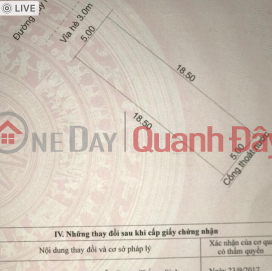 Land for sale on Bau Mac 20 Street - Lien Chieu - Da Nang _0