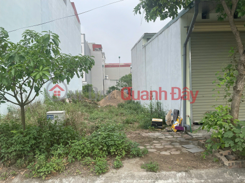 RESETTLEMENT LAND FOR SALE IN TRAU QUY – GIA LAM – HANOI _0